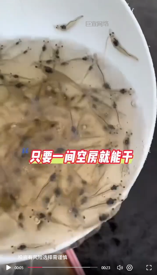 客户投放的视频素材-快手广告推广