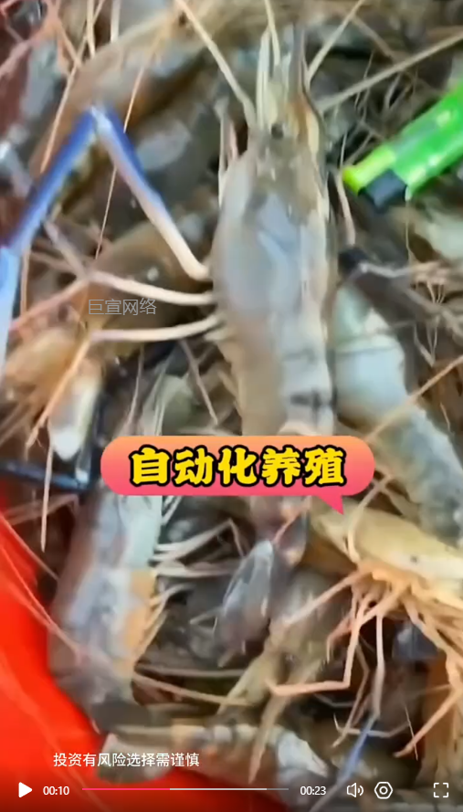 客户投放的视频素材-快手广告推广