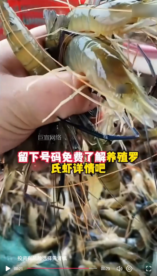 客户投放的视频素材-快手广告推广