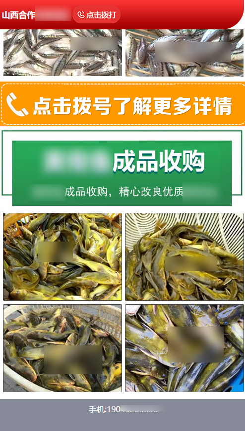 【农林牧渔加盟】-【鱼养殖】客户投放快手广告的落地页样式图2