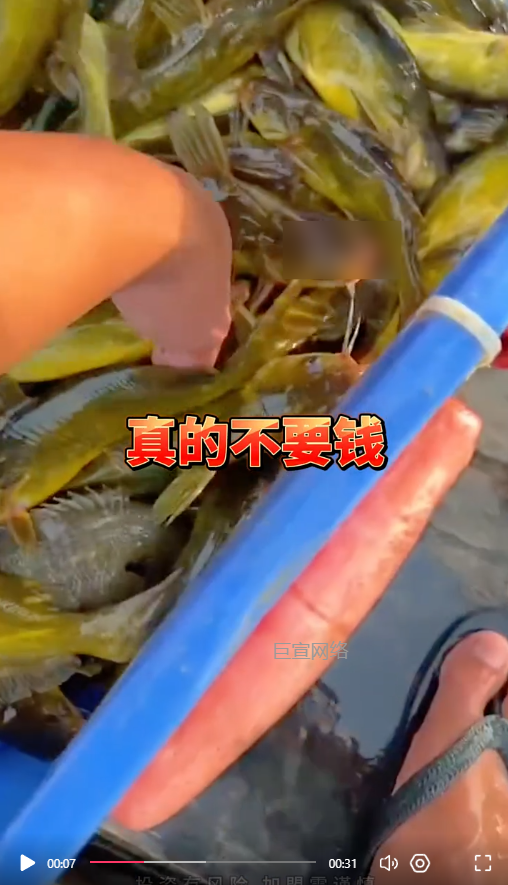 客户投放的视频素材-快手广告推广