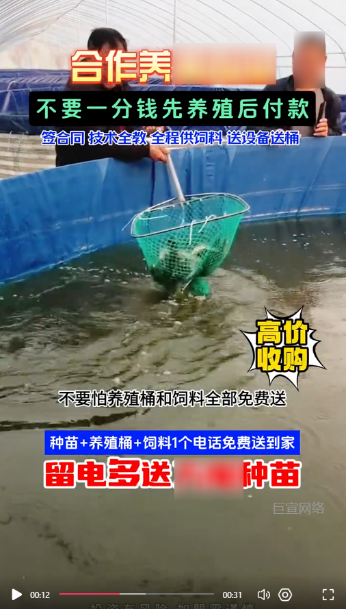 客户投放的视频素材-快手广告推广