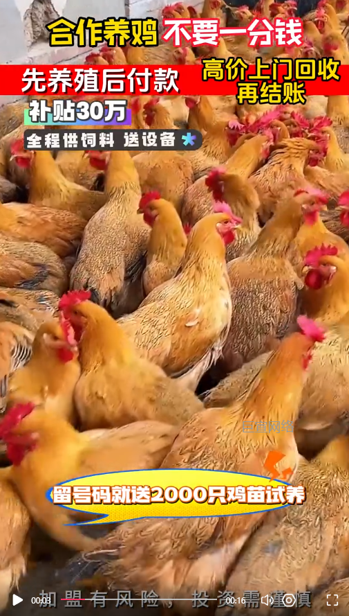 客户投放的视频素材-快手广告推广