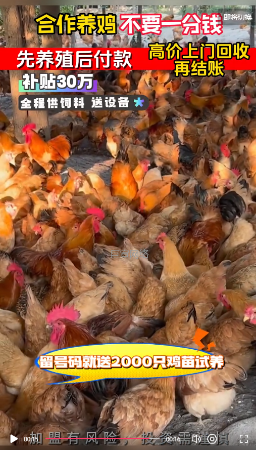 客户投放的视频素材-快手广告推广