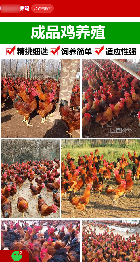 【农林牧渔加盟】-【家禽养殖】客户投放快手广告落地页样式图2