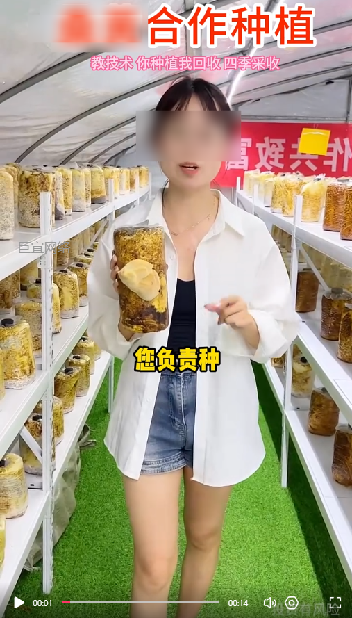 客户投放的视频素材-快手广告推广