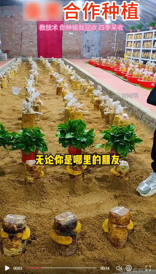 客户投放的视频素材-快手广告推广