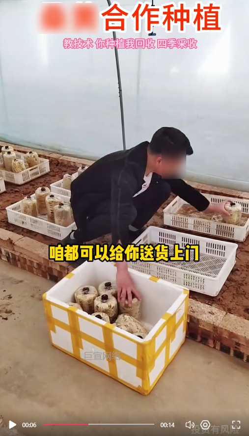 客户投放的视频素材-快手广告推广