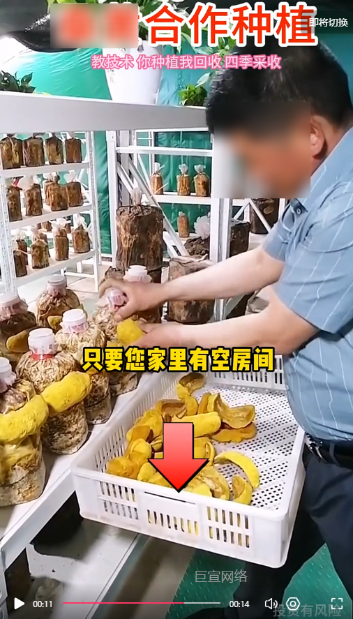 客户投放的视频素材-快手广告推广