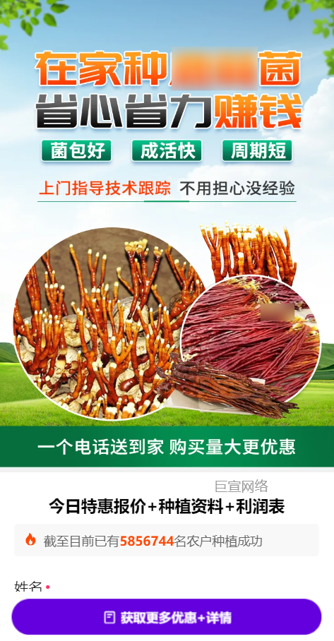 【农林牧渔加盟】-【菌包种植】 | 快手广告投放案例