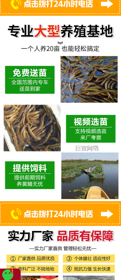 【农林牧渔】-【养殖】客户投放快手广告的落地页样式图2