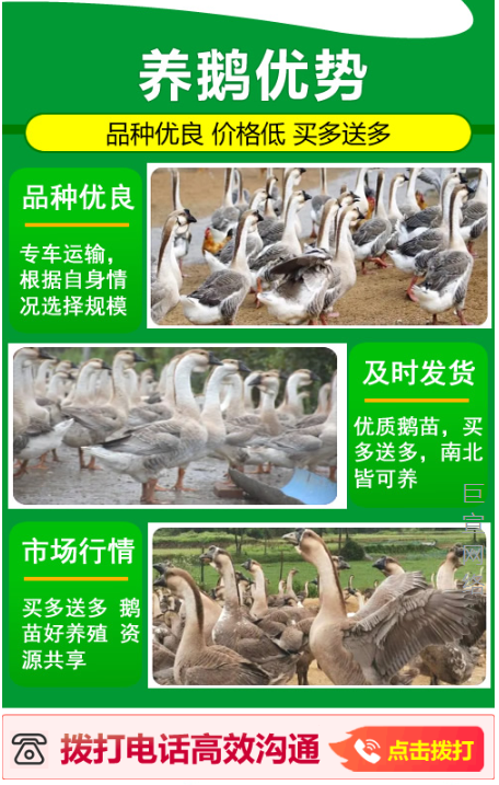 养殖行业进行快手广告推广表单