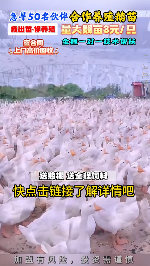 养殖行业进行快手广告推广素材