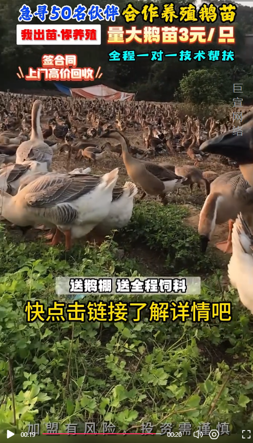 养殖行业进行快手广告推广视频素材