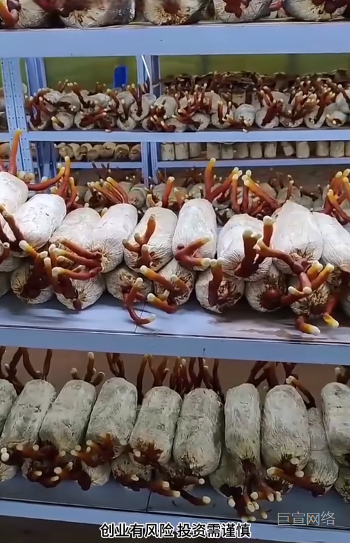 种植行业进行快手广告投放的素材