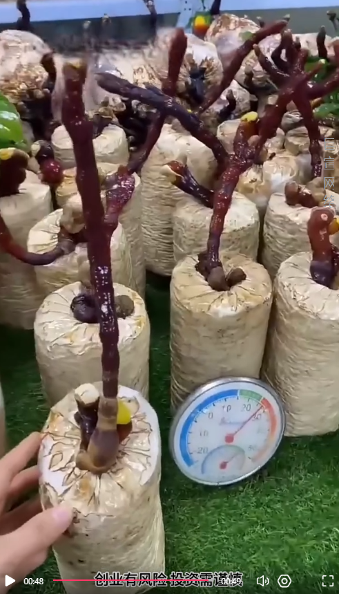 种植行业进行快手广告投放的视频素材