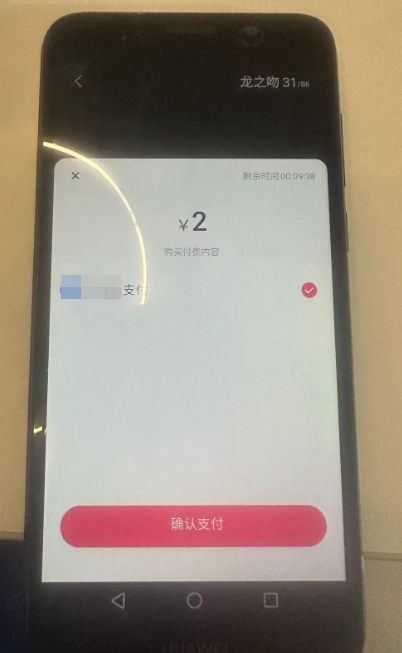 快手平台支付选择